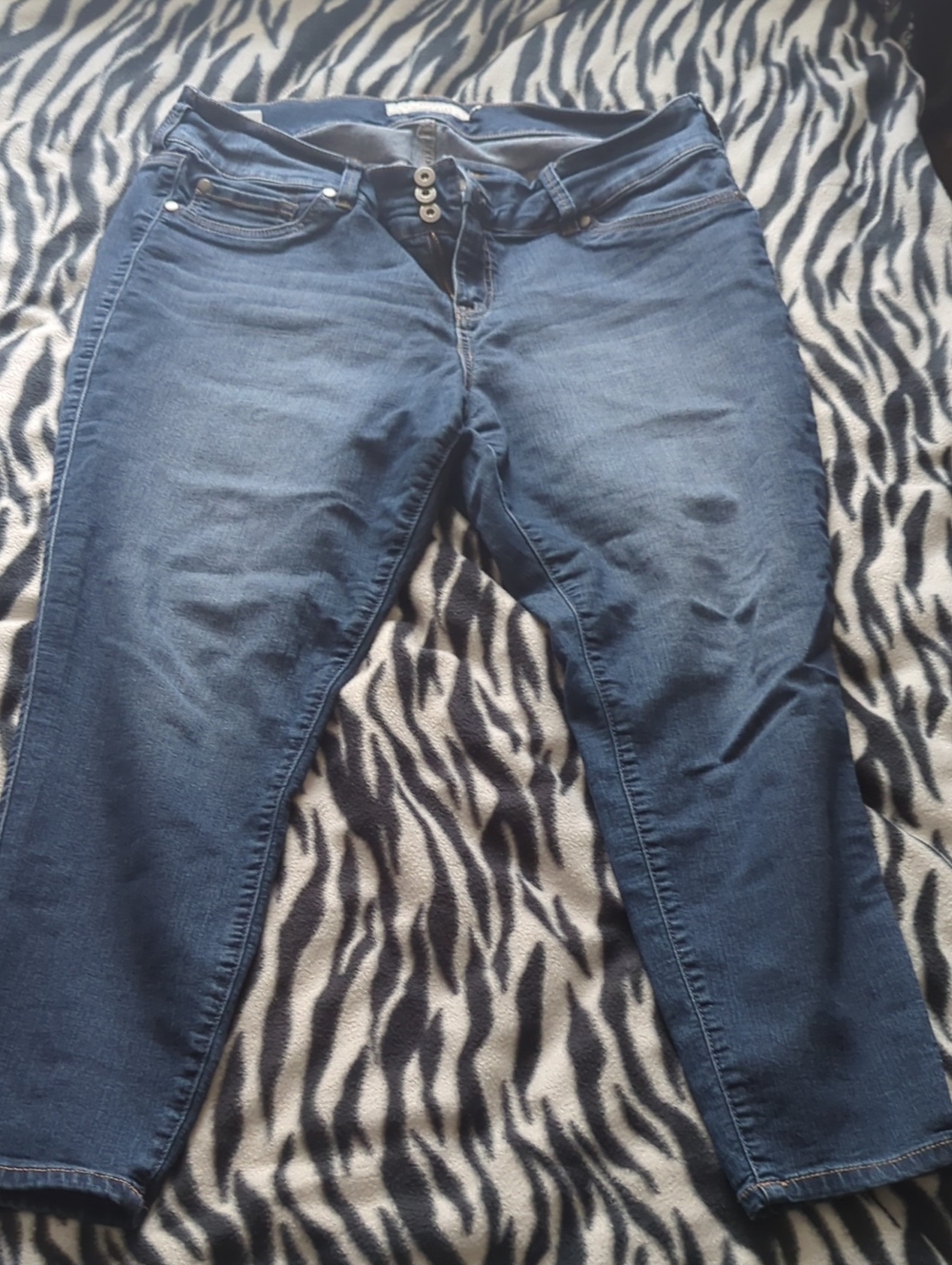 torrid Dark Blue Jeggings